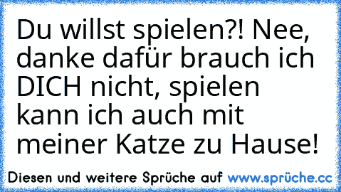 Du willst spielen?! Nee, danke dafür brauch ich DICH nicht, spielen kann ich auch mit meiner Katze zu Hause!