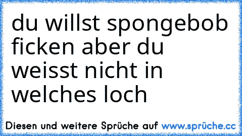 du willst spongebob ficken aber du weisst nicht in welches loch