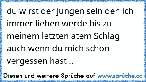 du wirst der jungen sein den ich immer lieben werde bis zu meinem letzten atem Schlag auch wenn du mich schon vergessen hast ..