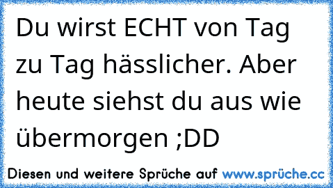 Du wirst ECHT von Tag zu Tag hässlicher. Aber heute siehst du aus wie übermorgen ;DD