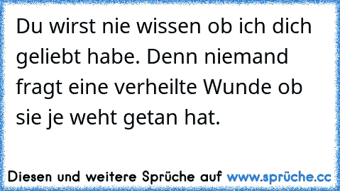 Du wirst nie wissen ob ich dich geliebt habe. Denn niemand fragt eine verheilte Wunde ob sie je weht getan hat.