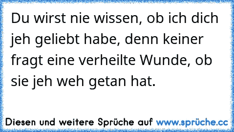 Du wirst nie wissen, ob ich dich jeh geliebt habe, denn keiner fragt eine verheilte Wunde, ob sie jeh weh getan hat.