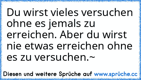 Du wirst vieles versuchen ohne es jemals zu erreichen. Aber du wirst nie etwas erreichen ohne es zu versuchen.~