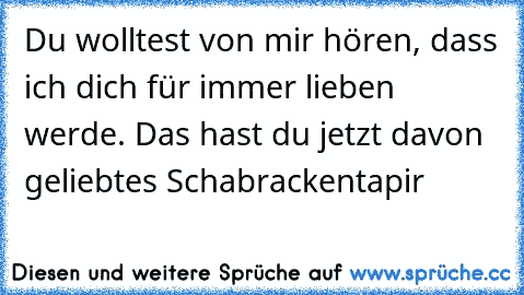 Du wolltest von mir hören, dass ich dich für immer lieben werde. Das hast du jetzt davon geliebtes Schabrackentapir♥