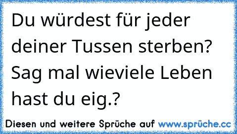 Du würdest für jeder deiner Tussen sterben? Sag mal wieviele Leben hast du eig.?