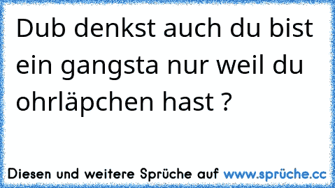 Dub denkst auch du bist ein gangsta nur weil du ohrläpchen hast ?