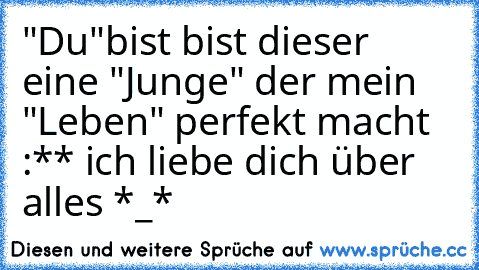 "Du"bist bist dieser eine "Junge" der mein "Leben" perfekt macht :** ich liebe dich über alles *_*