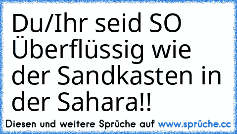 Du/Ihr seid SO Überflüssig wie der Sandkasten in der Sahara!!°