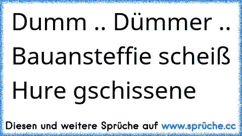 Dumm .. Dümmer .. Bauansteffie scheiß Hure gschissene