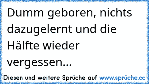 Dumm geboren, nichts dazugelernt und die Hälfte wieder vergessen...