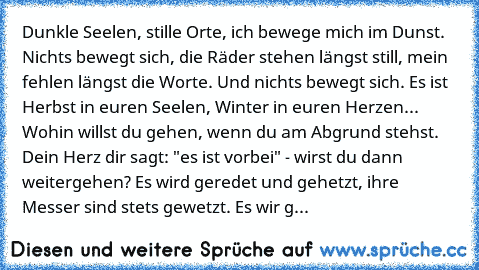 Dunkle Seelen, stille Orte, ich bewege mich im Dunst. Nichts bewegt sich, die Räder stehen längst still, mein fehlen längst die Worte. Und nichts bewegt sich. Es ist Herbst in euren Seelen, Winter in euren Herzen... Wohin willst du gehen, wenn du am Abgrund stehst. Dein Herz dir sagt: "es ist vorbei" - wirst du dann weitergehen? Es wird geredet und gehetzt, ihre Messer sind stets gewetzt. Es wi...