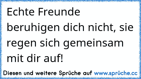 Echte Freunde beruhigen dich nicht, sie regen sich gemeinsam mit dir auf!