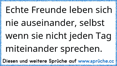 Echte Freunde leben sich nie auseinander, selbst wenn sie nicht jeden Tag miteinander sprechen.