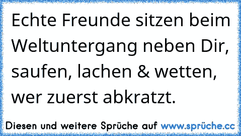 Echte Freunde sitzen beim Weltuntergang neben Dir, saufen, lachen & wetten, wer zuerst abkratzt.