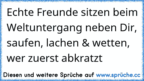 Echte Freunde sitzen beim Weltuntergang neben Dir, saufen, lachen & wetten, wer zuerst abkratzt