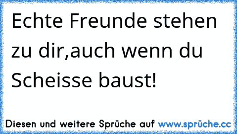 Echte Freunde stehen zu dir,auch wenn du Scheisse baust!