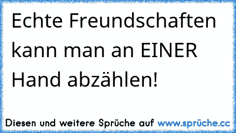 Echte Freundschaften kann man an EINER Hand abzählen!