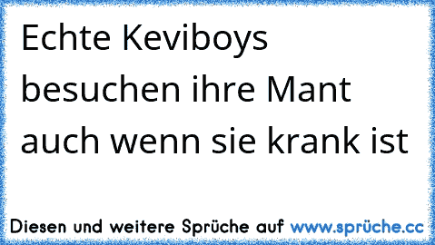 Echte Keviboys besuchen ihre Mant auch wenn sie krank ist