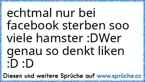 echtmal nur bei facebook sterben soo viele hamster :D
Wer genau so denkt liken :D :D