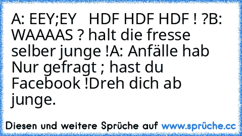 A: EEY;EY   HDF HDF HDF ! ?
B: WAAAAS ? halt die fresse selber junge !
A: Anfälle hab Nur gefragt ; hast du Facebook !
Dreh dich ab junge.