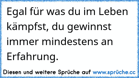 Egal für was du im Leben kämpfst, du gewinnst immer mindestens an Erfahrung.