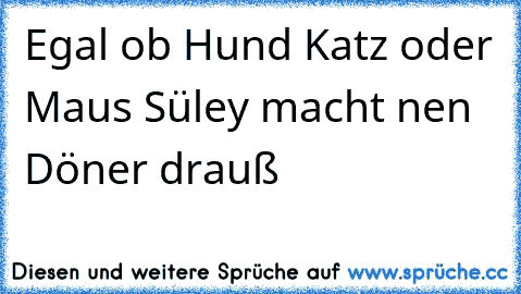 Egal ob Hund Katz oder Maus Süley macht nen Döner drauß