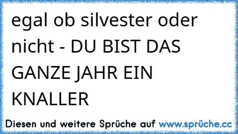 egal ob silvester oder nicht - DU BIST DAS GANZE JAHR EIN KNALLER 