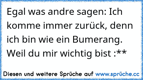 Egal was andre sagen: Ich komme immer zurück, denn ich bin wie ein Bumerang. Weil du mir wichtig bist :**