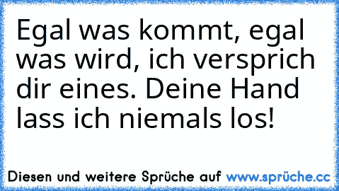 Egal was kommt, egal was wird, ich versprich dir eines. Deine Hand lass ich niemals los! ♥