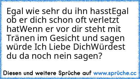 Egal wie sehr du ihn hasst
Egal ob er dich schon oft verletzt hat
Wenn er vor dir steht mit Tränen im Gesicht und sagen würde Ich Liebe Dich
Würdest du da noch nein sagen?