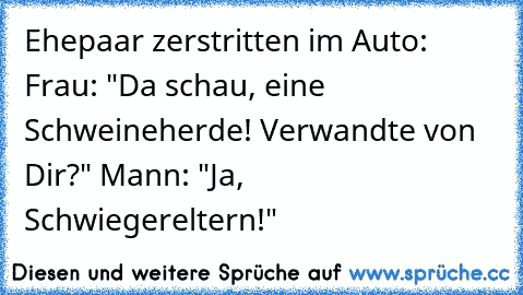 Ehepaar zerstritten im Auto: Frau: "Da schau, eine Schweineherde! Verwandte von Dir?" Mann: "Ja, Schwiegereltern!"