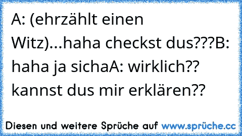 A: (ehrzählt einen Witz)...haha checkst dus???
B: haha ja sicha
A: wirklich?? kannst dus mir erklären??