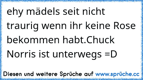 ehy mädels seit nicht traurig wenn ihr keine Rose bekommen habt.
Chuck Norris ist unterwegs =D