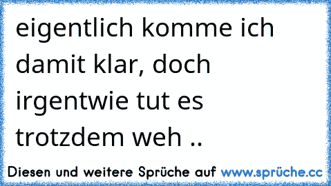 eigentlich komme ich damit klar, doch irgentwie tut es trotzdem weh ..