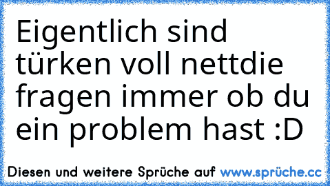 Eigentlich sind türken voll nett
die fragen immer ob du ein problem hast :D