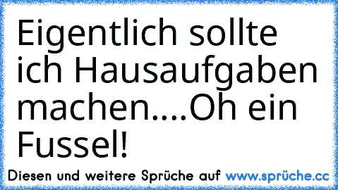 Eigentlich sollte ich Hausaufgaben machen....Oh ein Fussel!