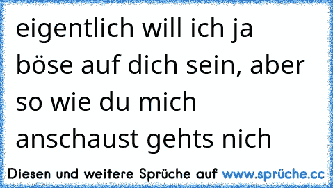 eigentlich will ich ja böse auf dich sein, aber so wie du mich anschaust gehts nich ♥