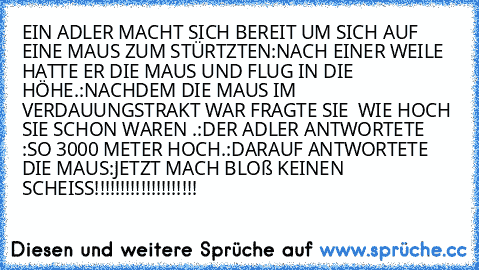 EIN ADLER MACHT SICH BEREIT UM SICH AUF EINE MAUS ZUM STÜRTZTEN:NACH EINER WEILE HATTE ER DIE MAUS UND FLUG IN DIE HÖHE.:NACHDEM DIE MAUS IM VERDAUUNGSTRAKT WAR FRAGTE SIE  WIE HOCH SIE SCHON WAREN .:DER ADLER ANTWORTETE :SO 3000 METER HOCH.:DARAUF ANTWORTETE DIE MAUS:JETZT MACH BLOß KEINEN SCHEISS
!!!!!!!!!!!!!!!!!!!!