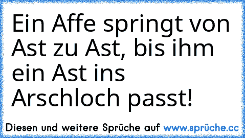 Ein Affe springt von Ast zu Ast, bis ihm ein Ast ins Arschloch passt!