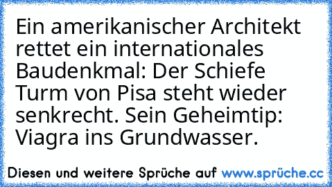 Ein amerikanischer Architekt rettet ein internationales Baudenkmal: Der Schiefe Turm von Pisa steht wieder senkrecht. Sein Geheimtip: Viagra ins Grundwasser.