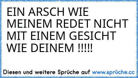 EIN ARSCH WIE MEINEM REDET NICHT MIT EINEM GESICHT WIE DEINEM !!!!!