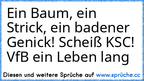 Ein Baum, ein Strick, ein badener Genick! Scheiß KSC! VfB ein Leben lang ♥