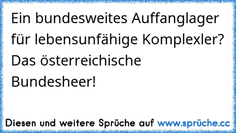 Ein bundesweites Auffanglager für lebensunfähige Komplexler? Das österreichische Bundesheer!