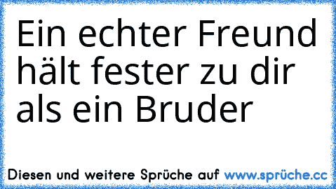 Ein echter Freund hält fester zu dir als ein Bruder ♥