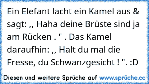 Ein Elefant lacht ein Kamel aus & sagt: ,, Haha deine Brüste sind ja am Rücken . " . Das Kamel daraufhin: ,, Halt du mal die Fresse, du Schwanzgesicht ! ". :D