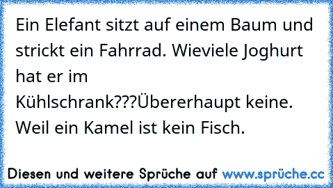 Ein Elefant sitzt auf einem Baum und strickt ein Fahrrad. Wieviele Joghurt hat er im Kühlschrank???
Übererhaupt keine. Weil ein Kamel ist kein Fisch.