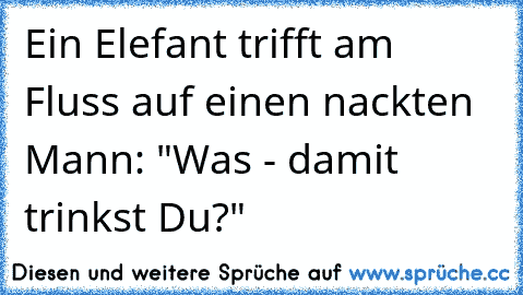 Ein Elefant trifft am Fluss auf einen nackten Mann: "Was - damit trinkst Du?"