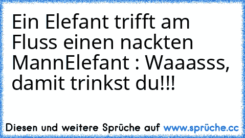 Ein Elefant trifft am Fluss einen nackten Mann
Elefant : Waaasss, damit trinkst du!!!