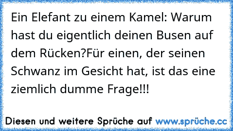 Ein Elefant zu einem Kamel: Warum hast du eigentlich deinen Busen auf dem Rücken?Für einen, der seinen Schwanz im Gesicht hat, ist das eine ziemlich dumme Frage!!!