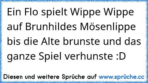 Ein Flo spielt Wippe Wippe auf Brunhildes Mösenlippe bis die Alte brunste und das ganze Spiel verhunste :D